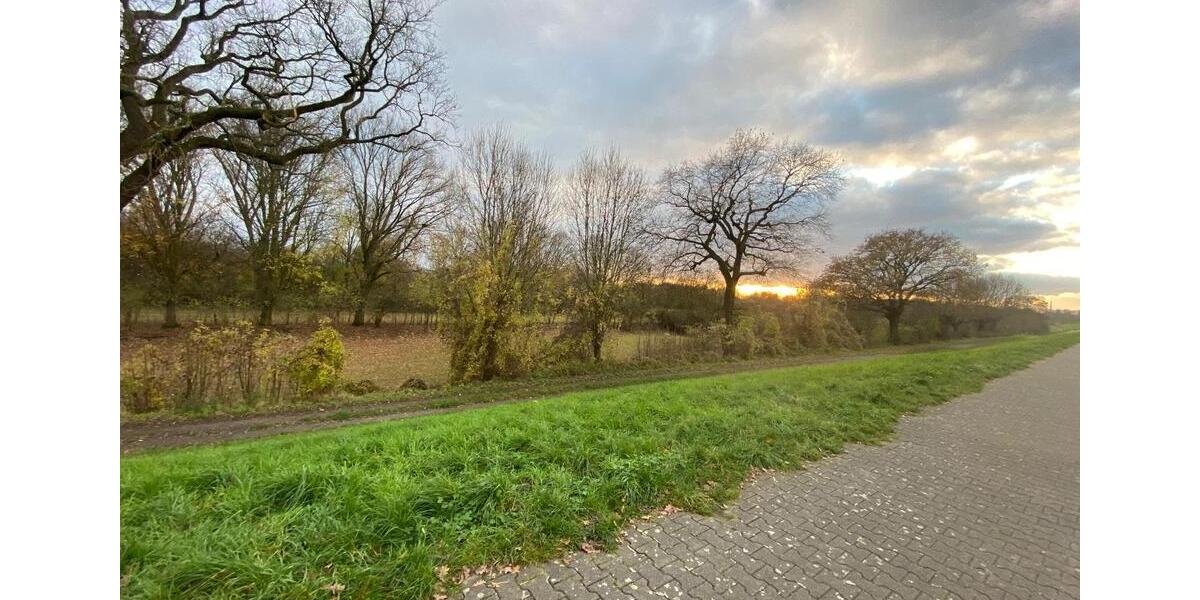 Reihenhaus Duisburg Rheinhausen - 3 Zimmer, 64 m&sup2;, 185.000&euro; | Angebot:24750086