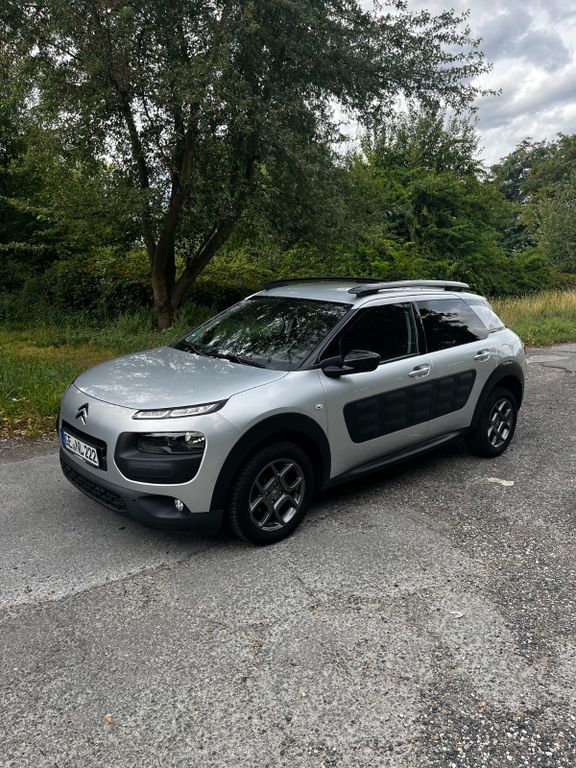 C4 Cactus