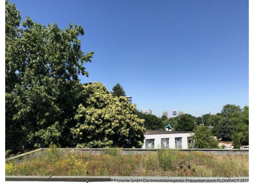 Wohnung zum Mieten in Düsseldorf 600 € 25.77 m²