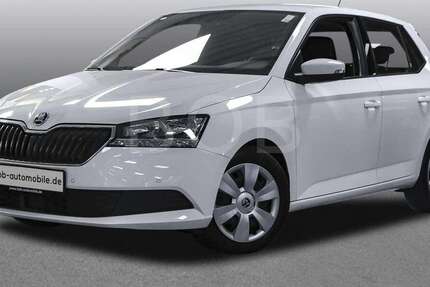 Skoda Fabia 39.267 km 15.890 € Essen 45141