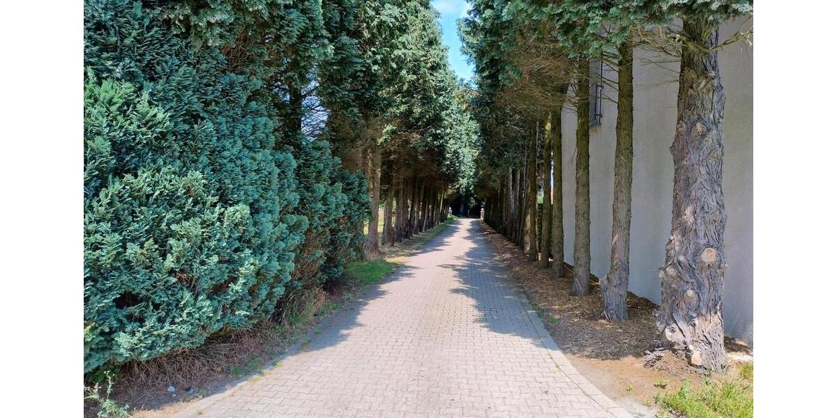 Erdgeschoßwohnung Bottrop Feldhausen - 3 Zimmer, 125 m&sup2;, 1.400&euro; | Angebot:24886214