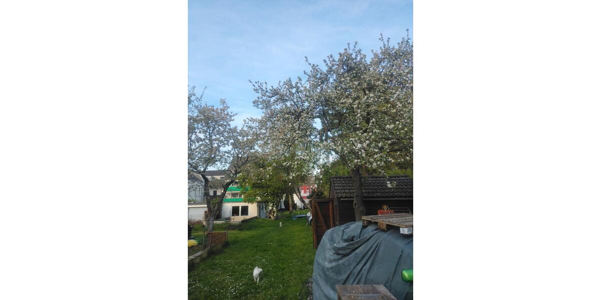 Reihenhaus Krefeld Dießem - 8 Zimmer, 160 m&sup2;, 1.180.000&euro; | Angebot:26183409