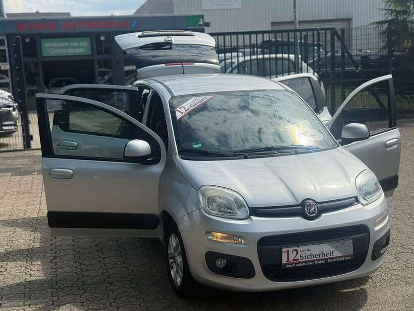 Panda