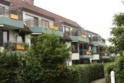 Wohnung Tönisvorst - 1 Zimmer, 34 m&sup2;, 500&euro; | Angebot:24690371