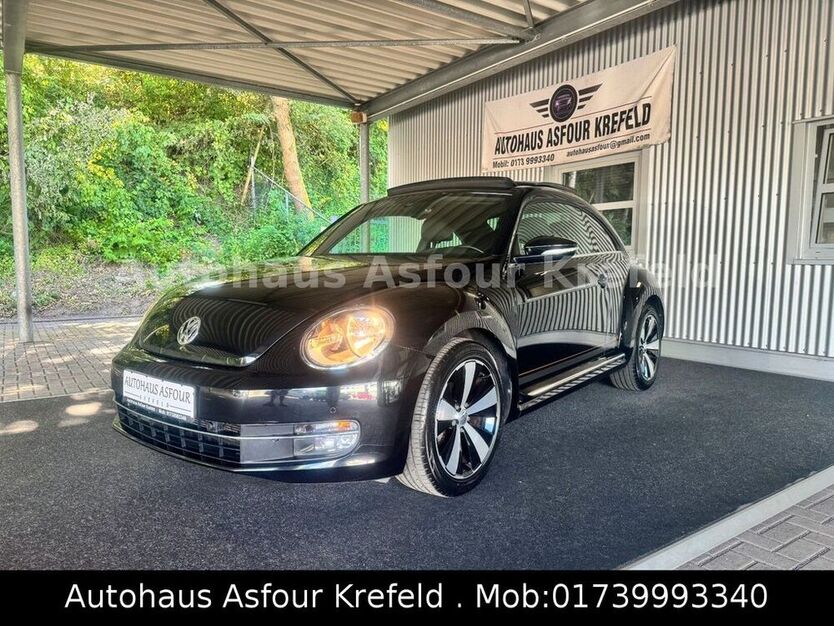 Beetle