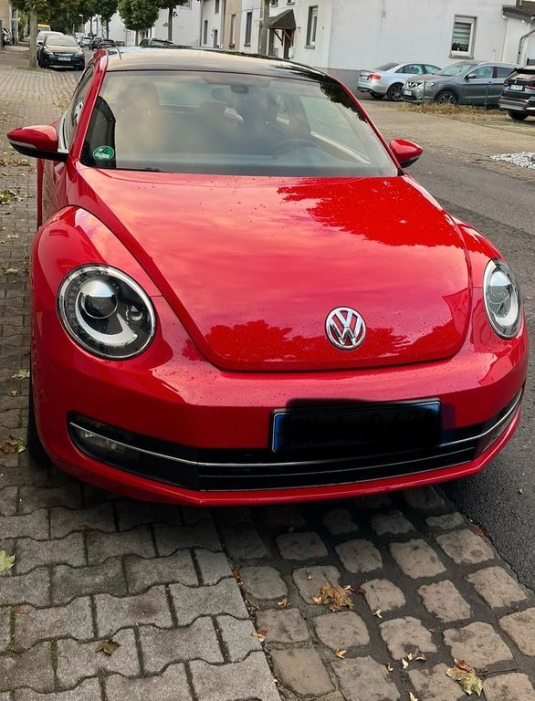 Beetle