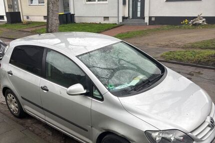 VW Golf Plus 275.174 km 1.600 &euro; Duisburg 47167