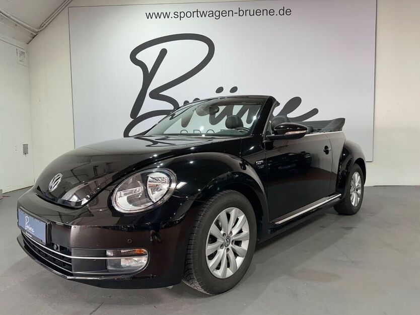 Beetle