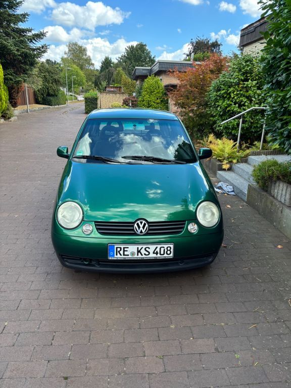 Lupo
