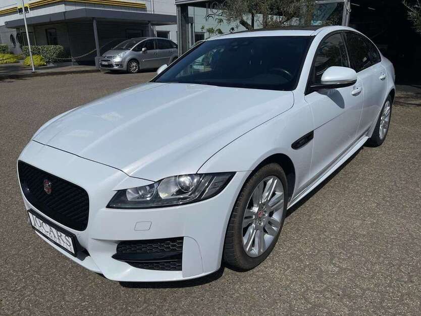 XF