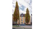 Etagenwohnung Herne Wanne-Bickern - 2 Zimmer, 52 m&sup2;, 395&euro; | Angebot:26361643