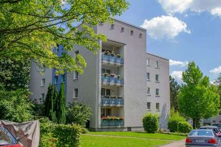 Wohnung zum Mieten in Essen 365 € 52.7 m²