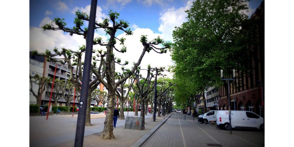 Gewerbeobjekt Oberhausen - 1.450&euro; | Angebot:26285811