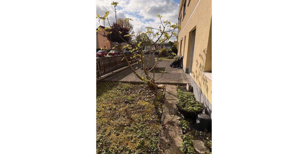 Erdgeschoßwohnung Duisburg Walsum - 2 Zimmer, 55 m&sup2;, 550&euro; | Angebot:26250316