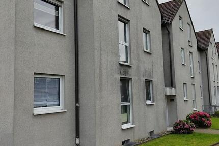 3 Zimmer Wohnung in Gladbeck Zweckel zimmer