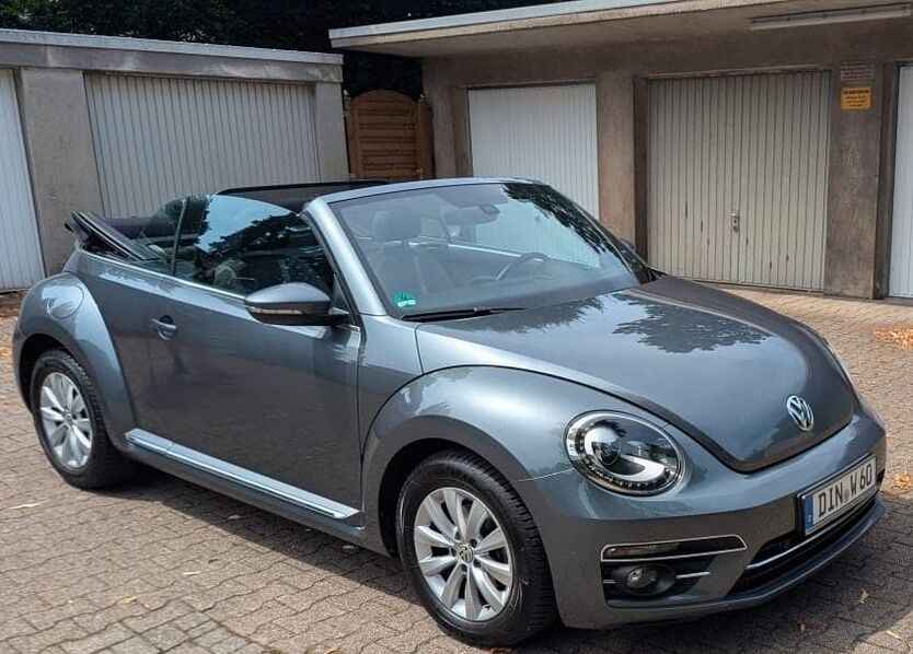 Beetle