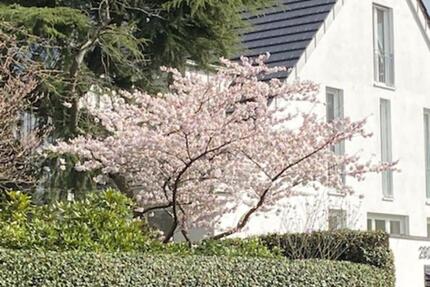 WITTLAER - HELLES HAUS IN TOP-AUSSTATTUNG