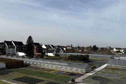 Wohnung zum Mieten in Düsseldorf 1.430 € 81.95 m² 3 zimmer