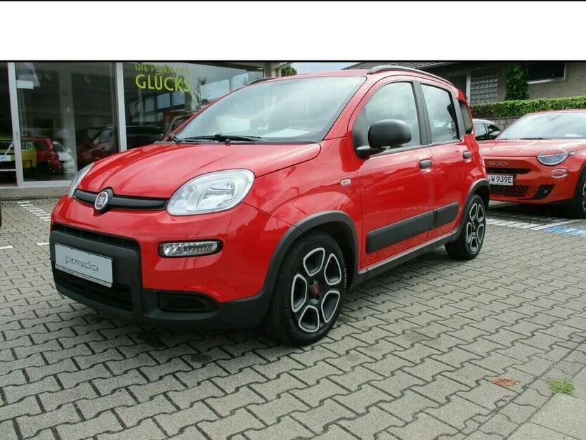Panda