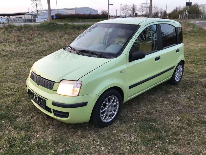 Panda