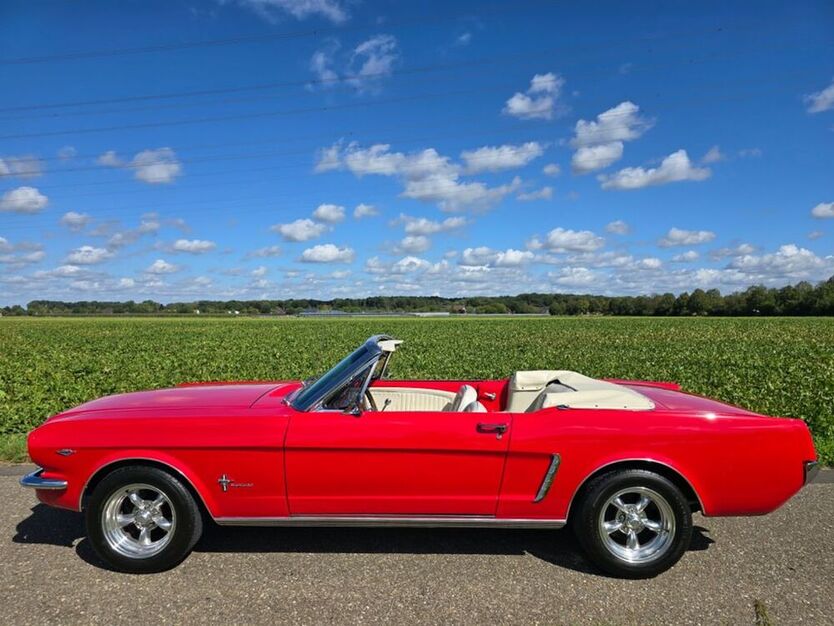 Mustang