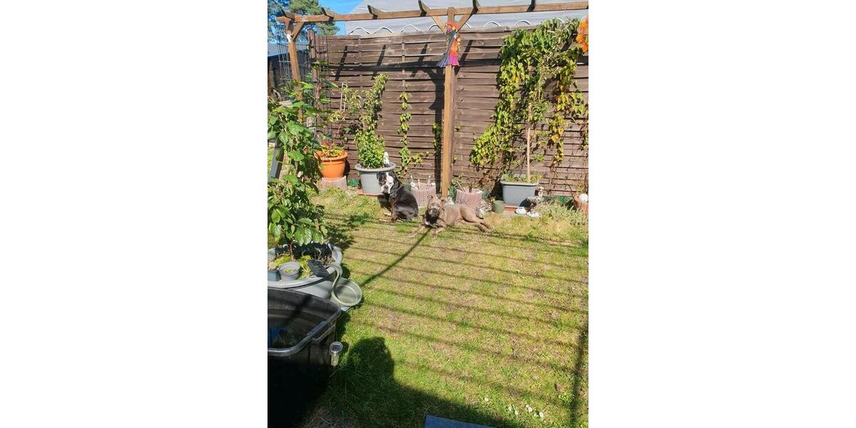Einfamilienhaus Mülheim an der Ruhr Linksruhr - 2 Zimmer, 25 m&sup2;, 19.000&euro; | Angebot:26130687