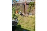 Einfamilienhaus Mülheim an der Ruhr Linksruhr - 2 Zimmer, 25 m&sup2;, 19.000&euro; | Angebot:26130687