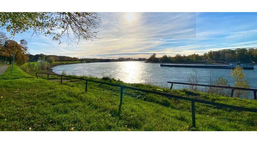 Haus zum Kaufen in Düsseldorf 1.495.000 € 240 m²