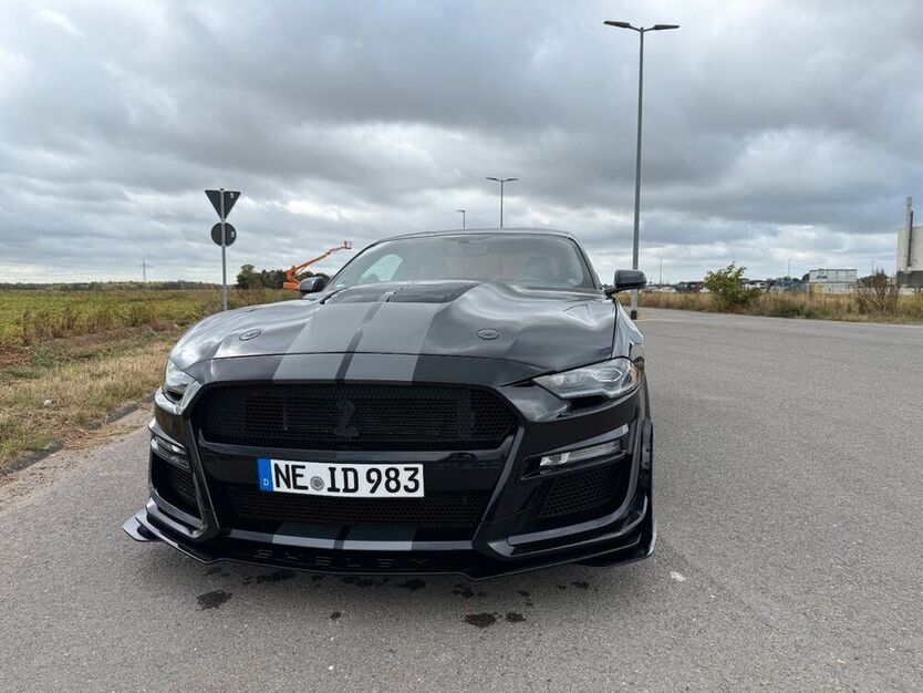 Mustang