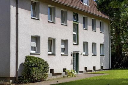 FIx und Fertig ! Laminat und Tapeten inklusive!!!! 3 zimmer