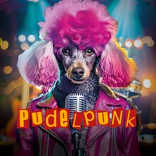 Pudelpunk Song Contest 07.03.2026 Theater Krefeld