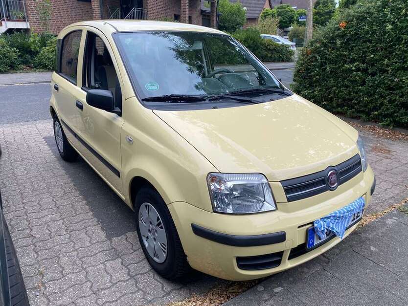 Panda