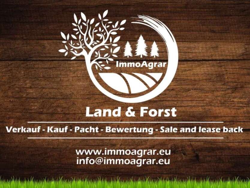 Grundstück in Inchenhofen 65.000 € 15000 m²
