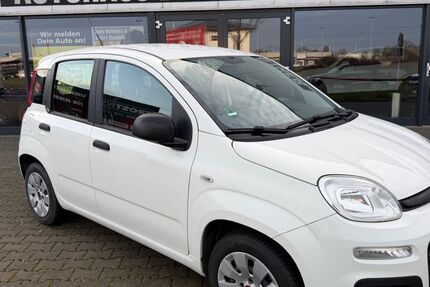 Fiat Panda 64.000 km 6.900 &euro; Tönisvorst 47918