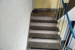 3 Zimmer Wohnung in Erdgeschoss frei ab dem 01.09 Warmmiete 800€
