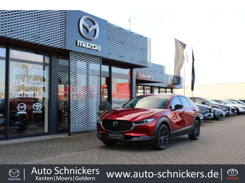CX-30