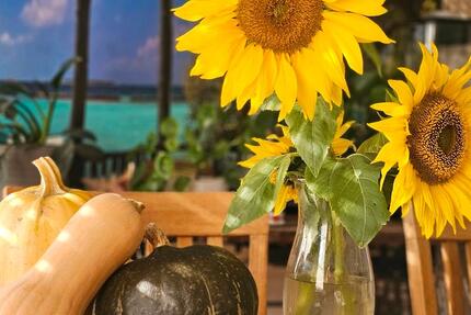 Traum Eigentum Wohnung in Duisburg Süd nähe Sechseenplatte Privat 3 zimmer