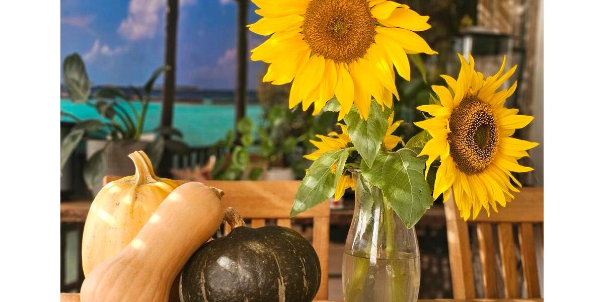 Traum Eigentum Wohnung in Duisburg Süd nähe Sechseenplatte Privat 3 zimmer