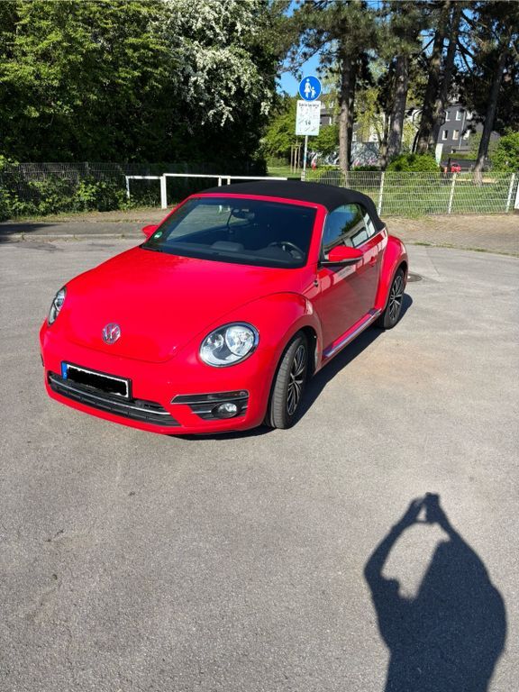 Beetle