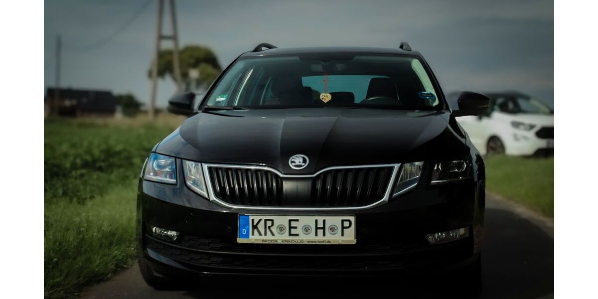 Skoda Octavia 125.000 km 12.900 &euro; Alpen 46519