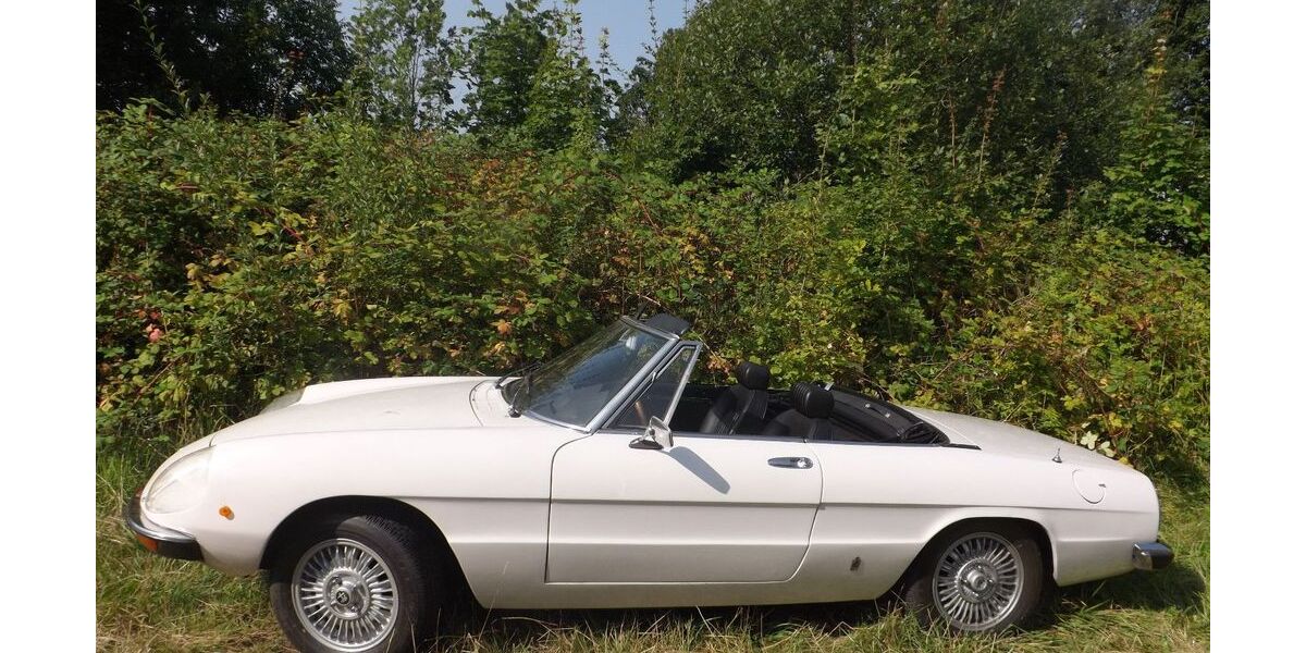 Alfa Romeo Spider 104.139 km 19.500 &euro; Mettmann 40822