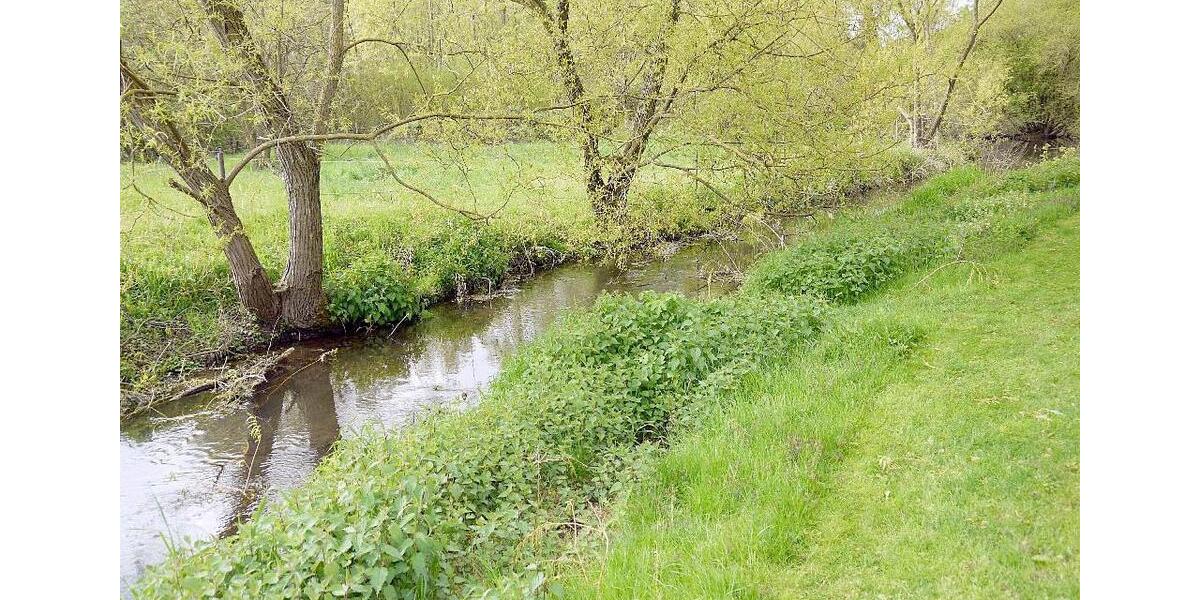 Einmalige Gelegenheit! Anspruchsvolles Wohnhaus mit Parkgrundstück in Top-Lage 8 zimmer