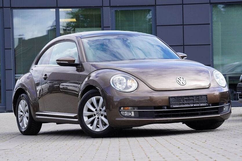 Beetle