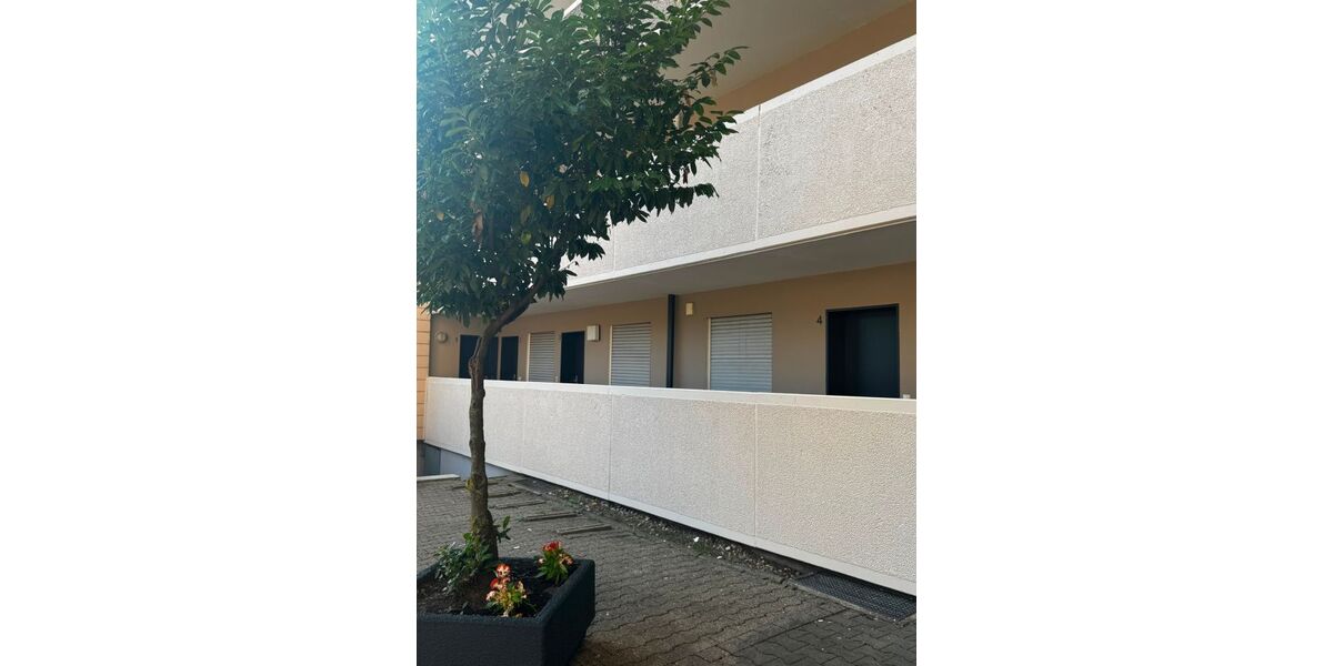 nähe Zentrum, helle 2,5 Zimmer Wohnung mit Bad Gäste WC & Balkon. - 1- Gladbeck Brauck | Angebot:27145801