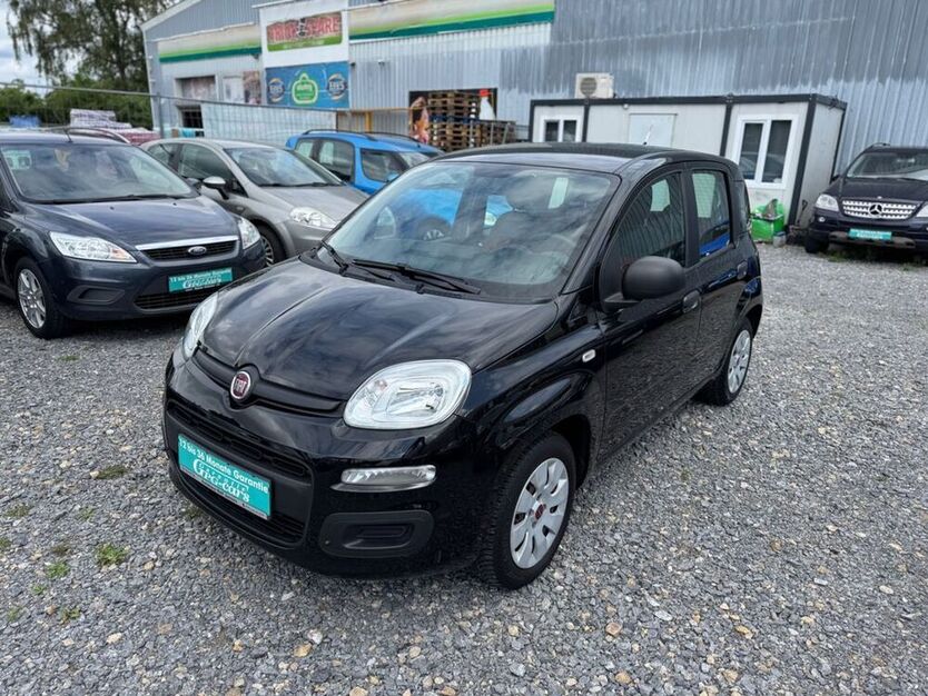 Panda