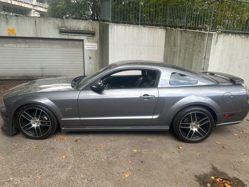 Mustang