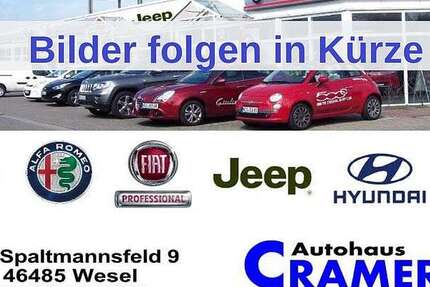Fiat 500 67.478 km 9.950 &euro; Wesel 46485