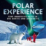POLAR EXPERIENCE - Die immersive Ausstellung