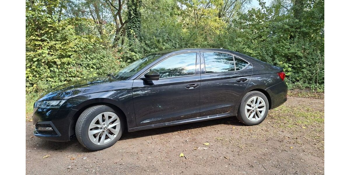 Skoda Octavia 58.000 km 16.999 &euro; Kaarst 41564
