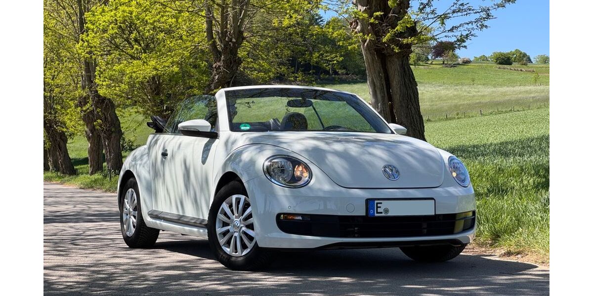 VW Beetle 61.000 km 12.250 &euro; Essen 45149